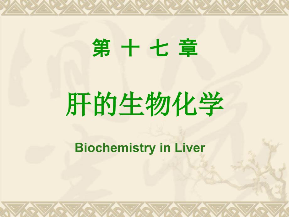 17章肝的生物化学(I模块)_第1页