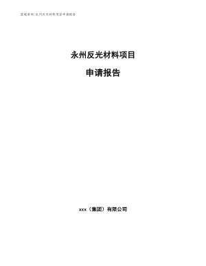 永州反光材料项目申请报告（范文参考）