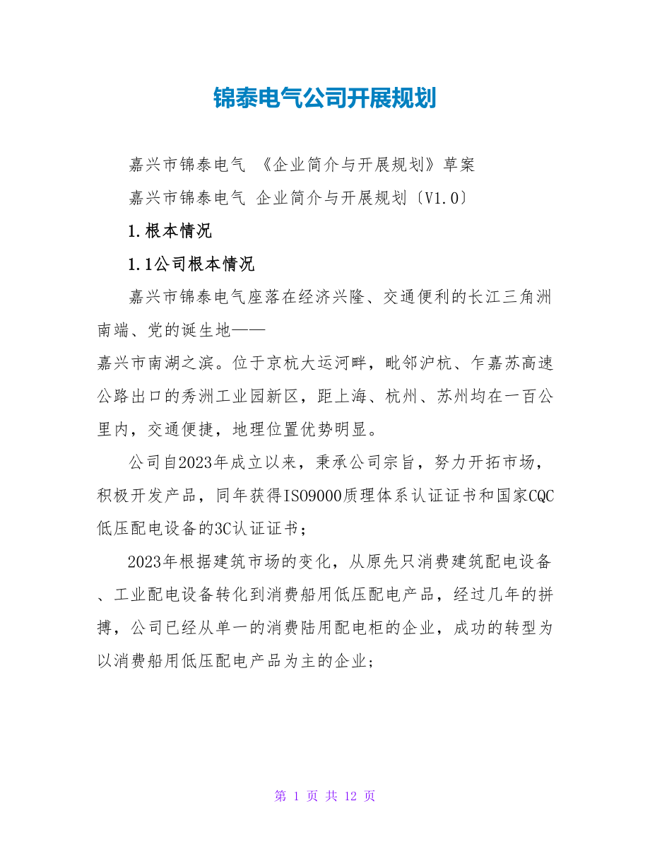 锦泰电气公司发展规划_第1页