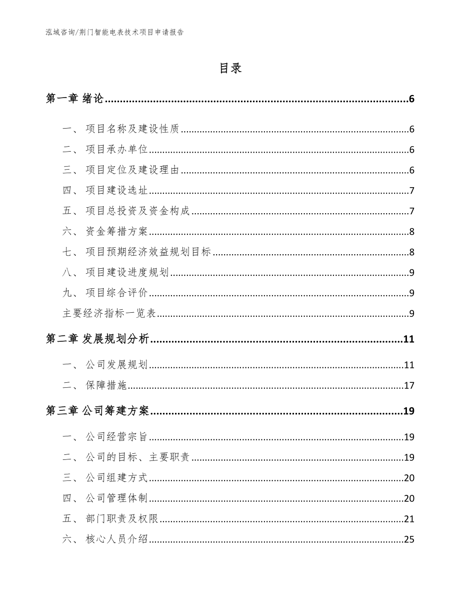 荆门智能电表技术项目申请报告【范文】_第1页