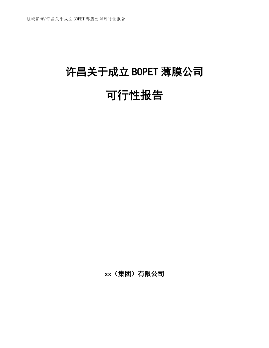 许昌关于成立BOPET薄膜公司可行性报告_第1页