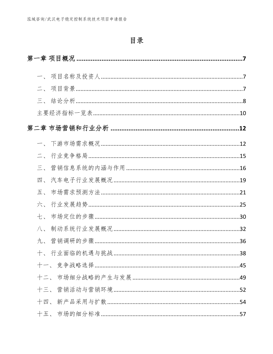 武汉电子稳定控制系统技术项目申请报告（参考模板）_第1页