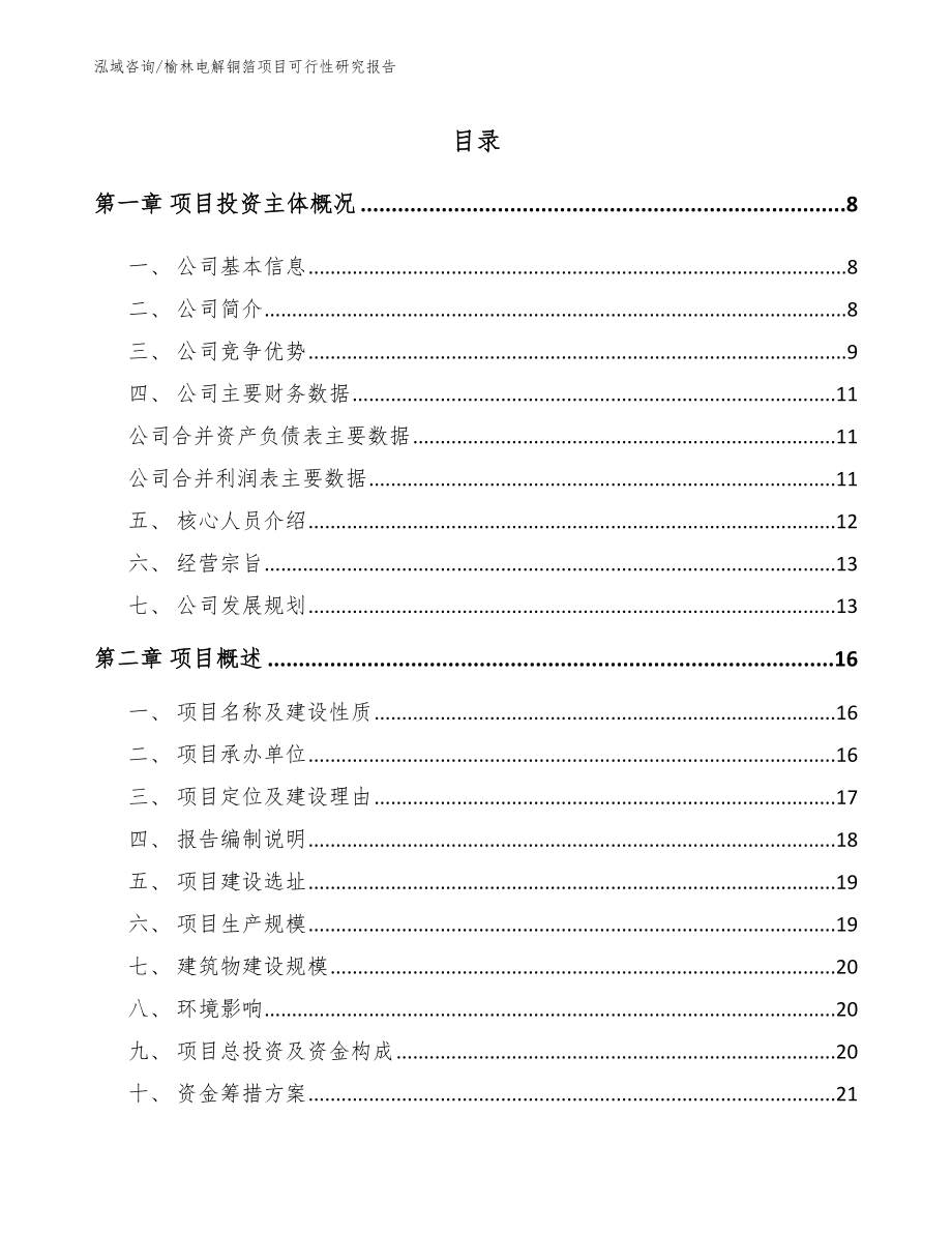 榆林电解铜箔项目可行性研究报告【模板】_第1页