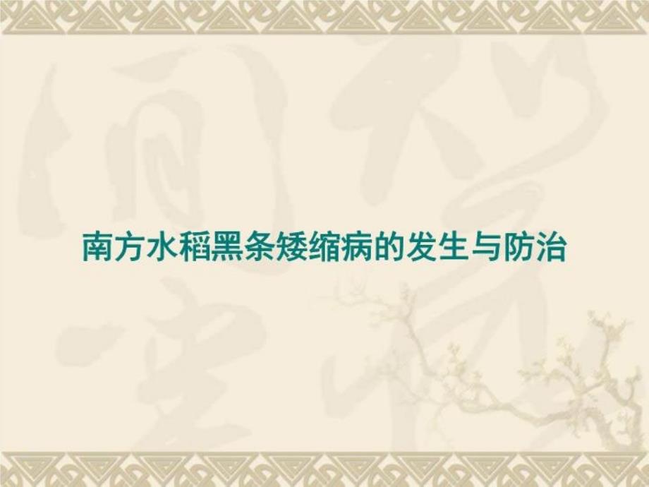 南方水稻黑条矮缩病诊断识别及防控技术课件_第1页