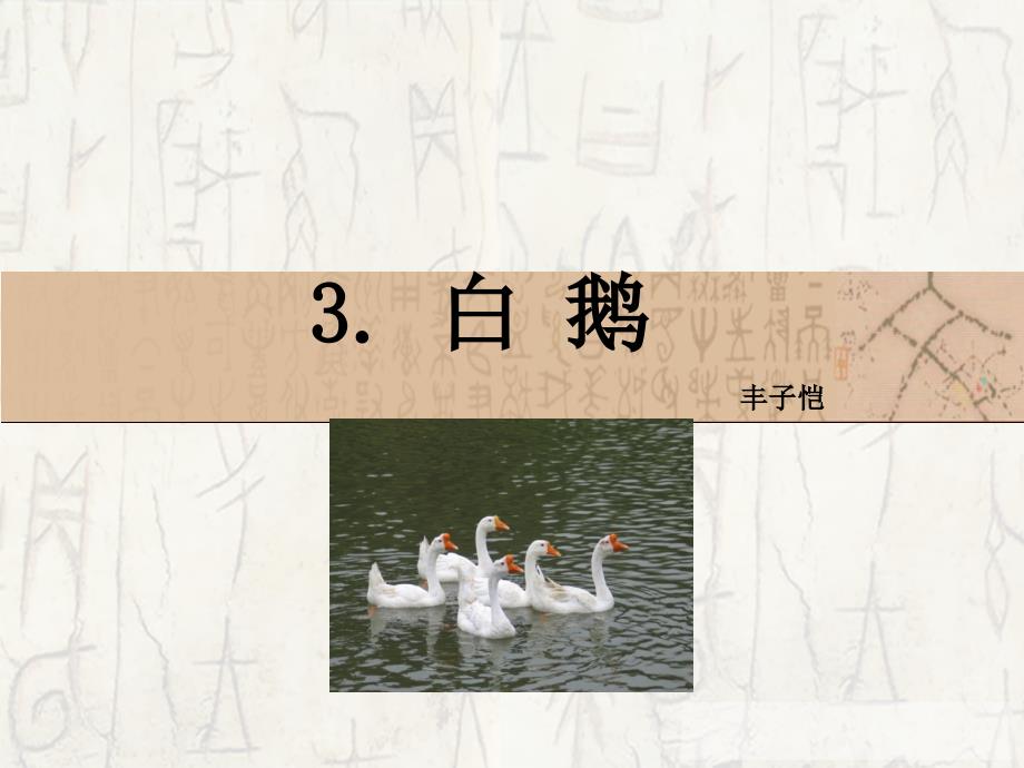 3、白鹅（授课老师王燕）_第1页