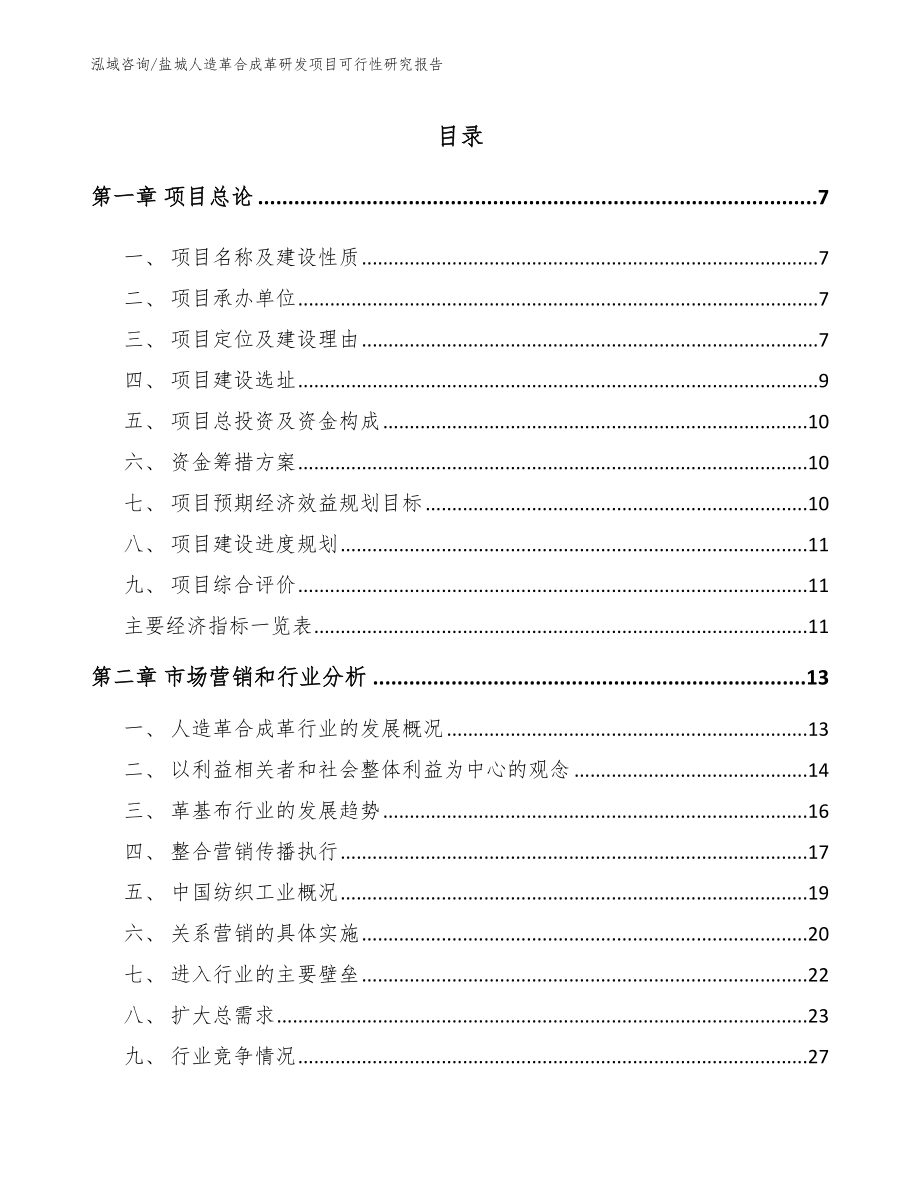 盐城人造革合成革研发项目可行性研究报告模板参考_第1页