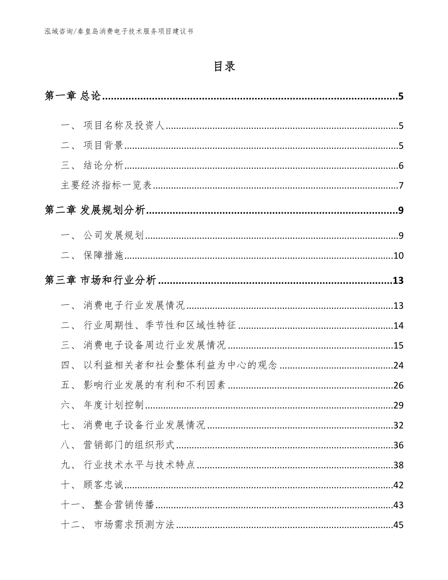 秦皇岛消费电子技术服务项目建议书（范文）_第1页