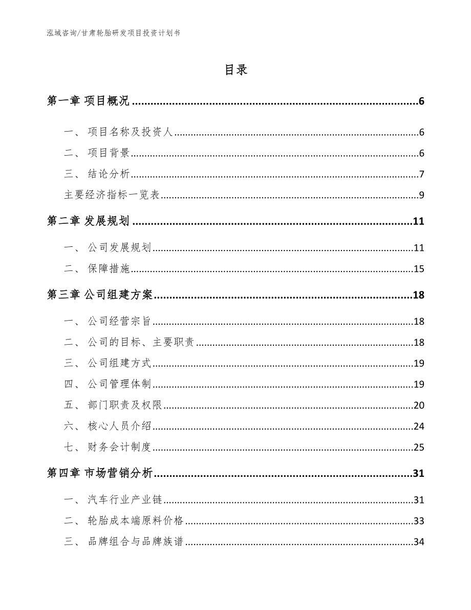 甘肃轮胎研发项目投资计划书【范文】_第1页