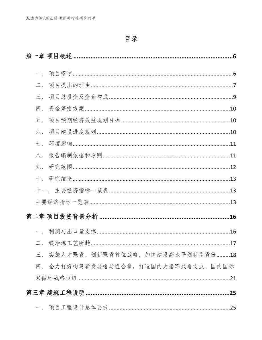 浙江镁项目可行性研究报告_第1页