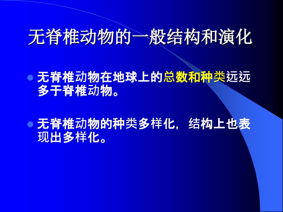 《无脊椎动物演化》PPT课件_第1页