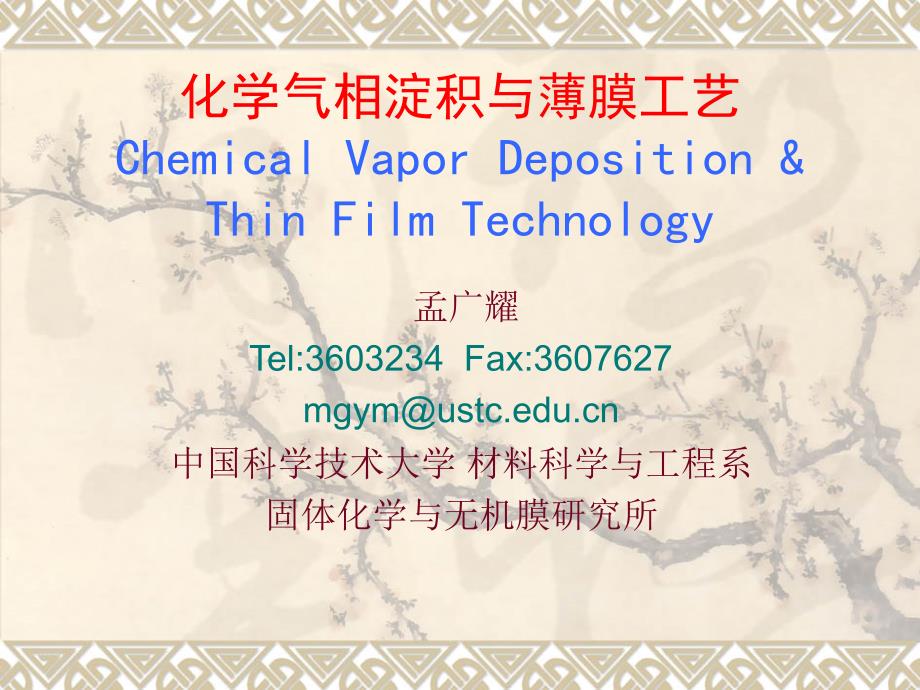 CVD化学与薄膜工艺2040223_第1页