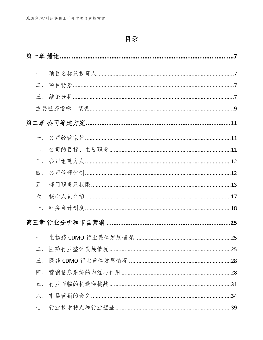 荆州偶联工艺开发项目实施方案（模板）_第1页