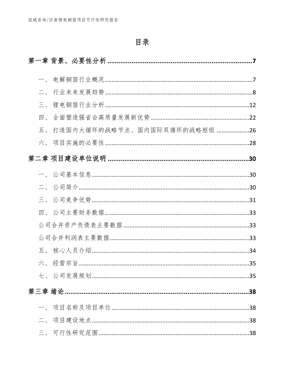 济南锂电铜箔项目可行性研究报告_第1页