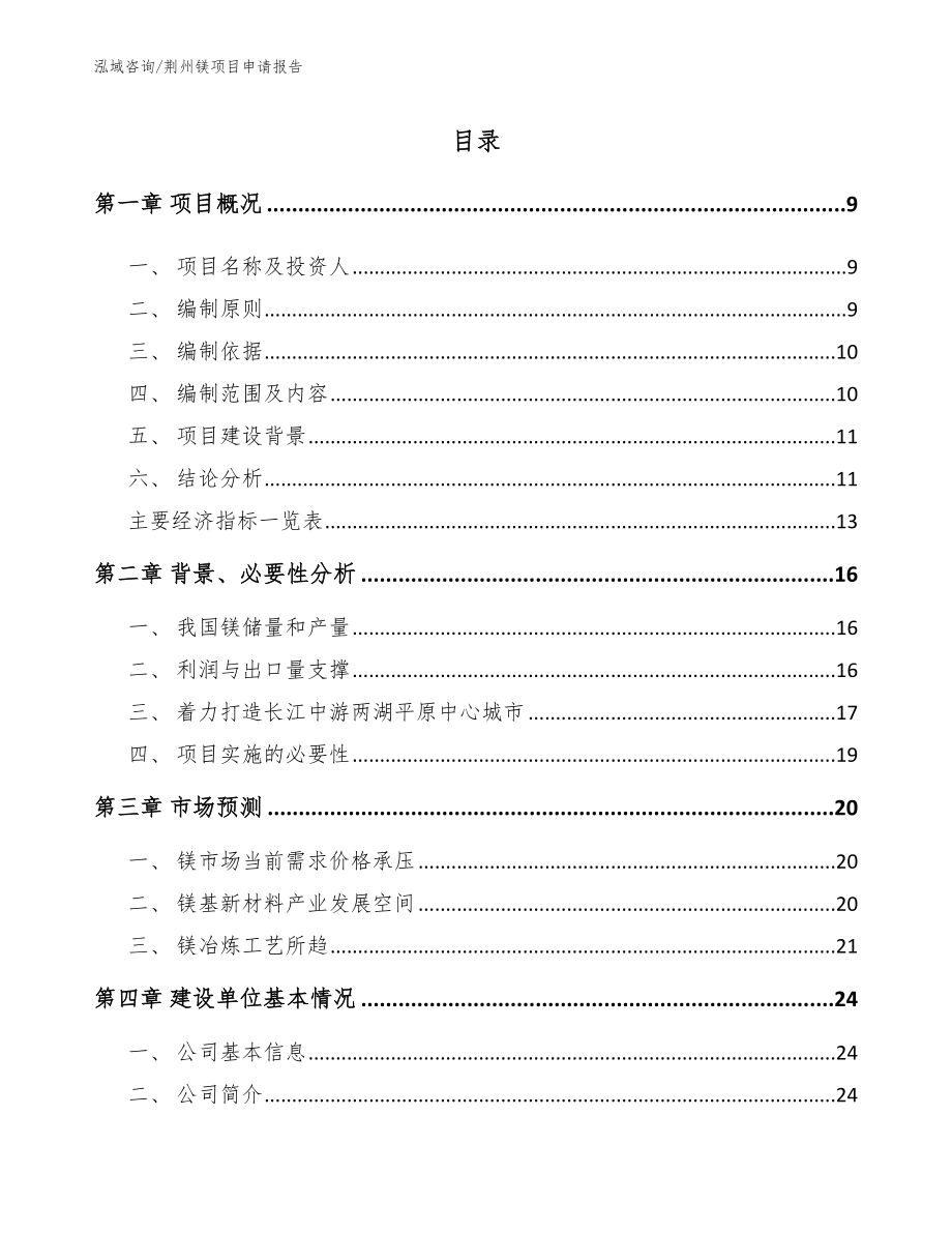 荆州镁项目申请报告_参考模板_第1页