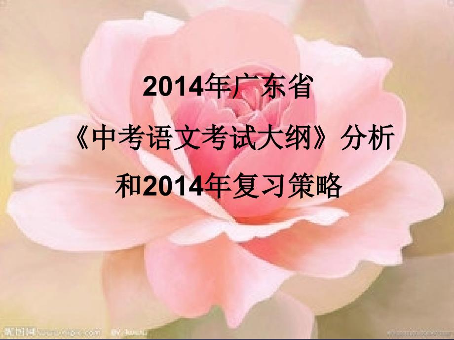 2014年中考备考策略(语文)_第1页