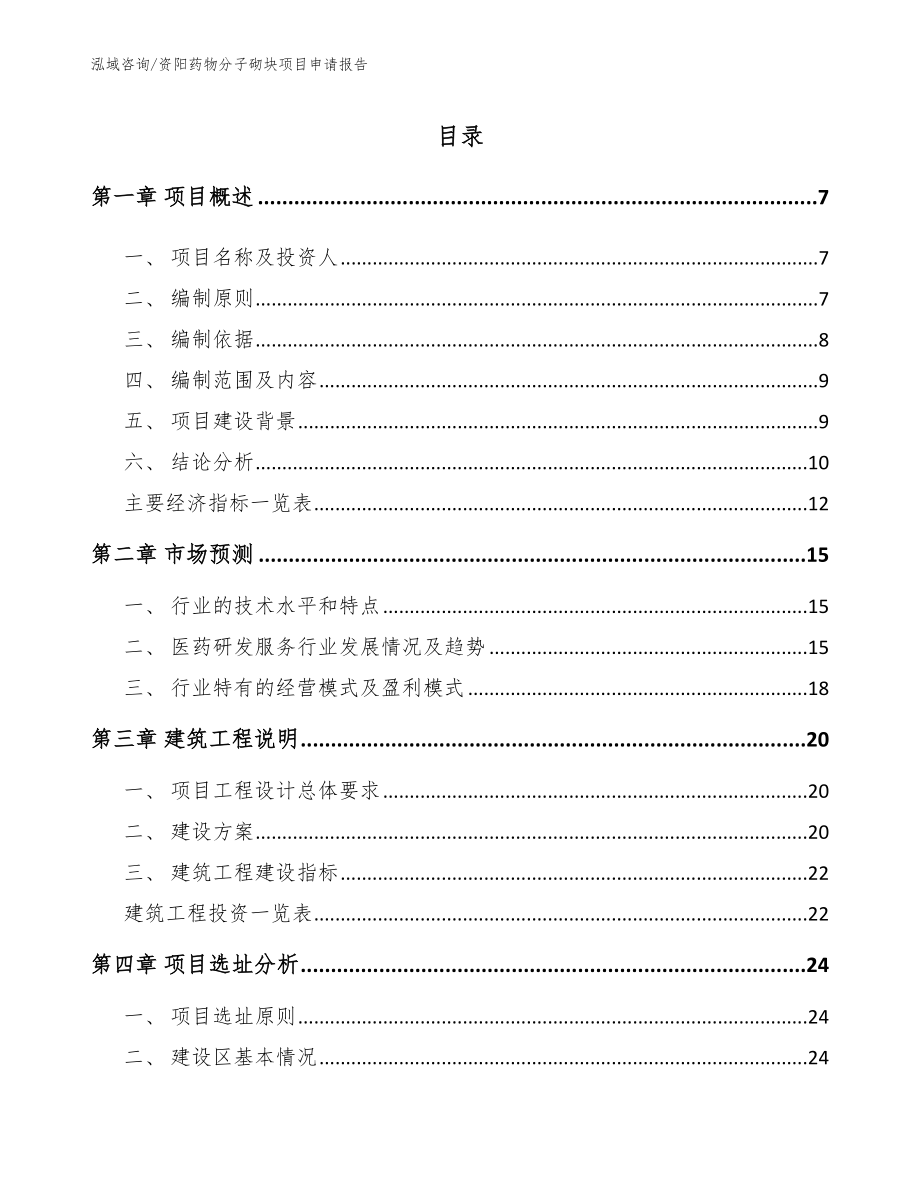 资阳药物分子砌块项目申请报告_第1页