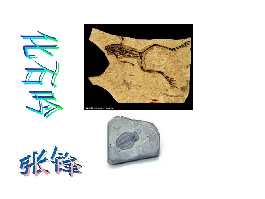 新化石吟课件_第1页