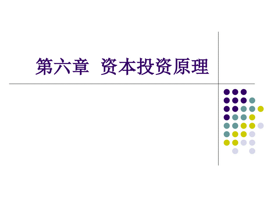 《资本投资原理》PPT课件_第1页