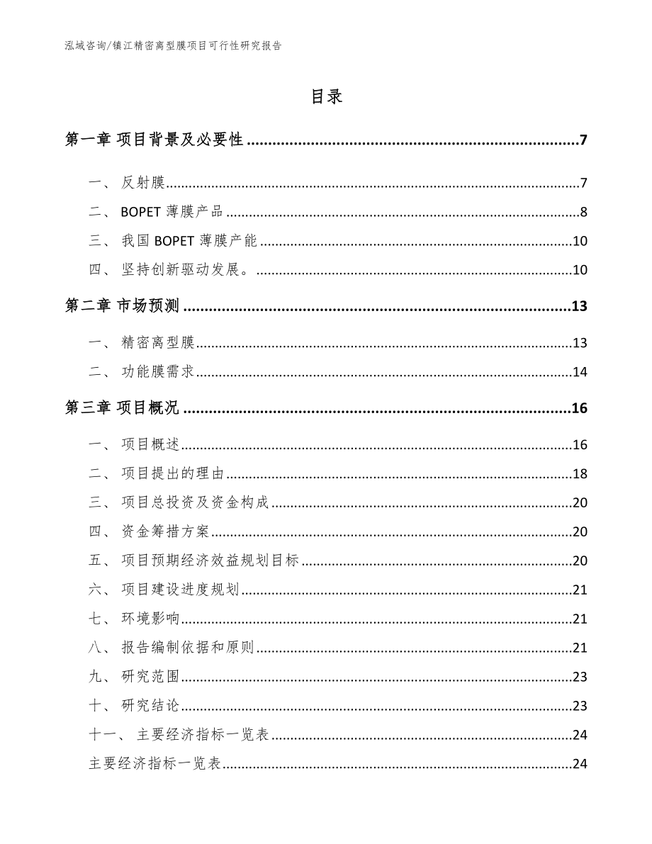 镇江精密离型膜项目可行性研究报告【参考模板】_第1页