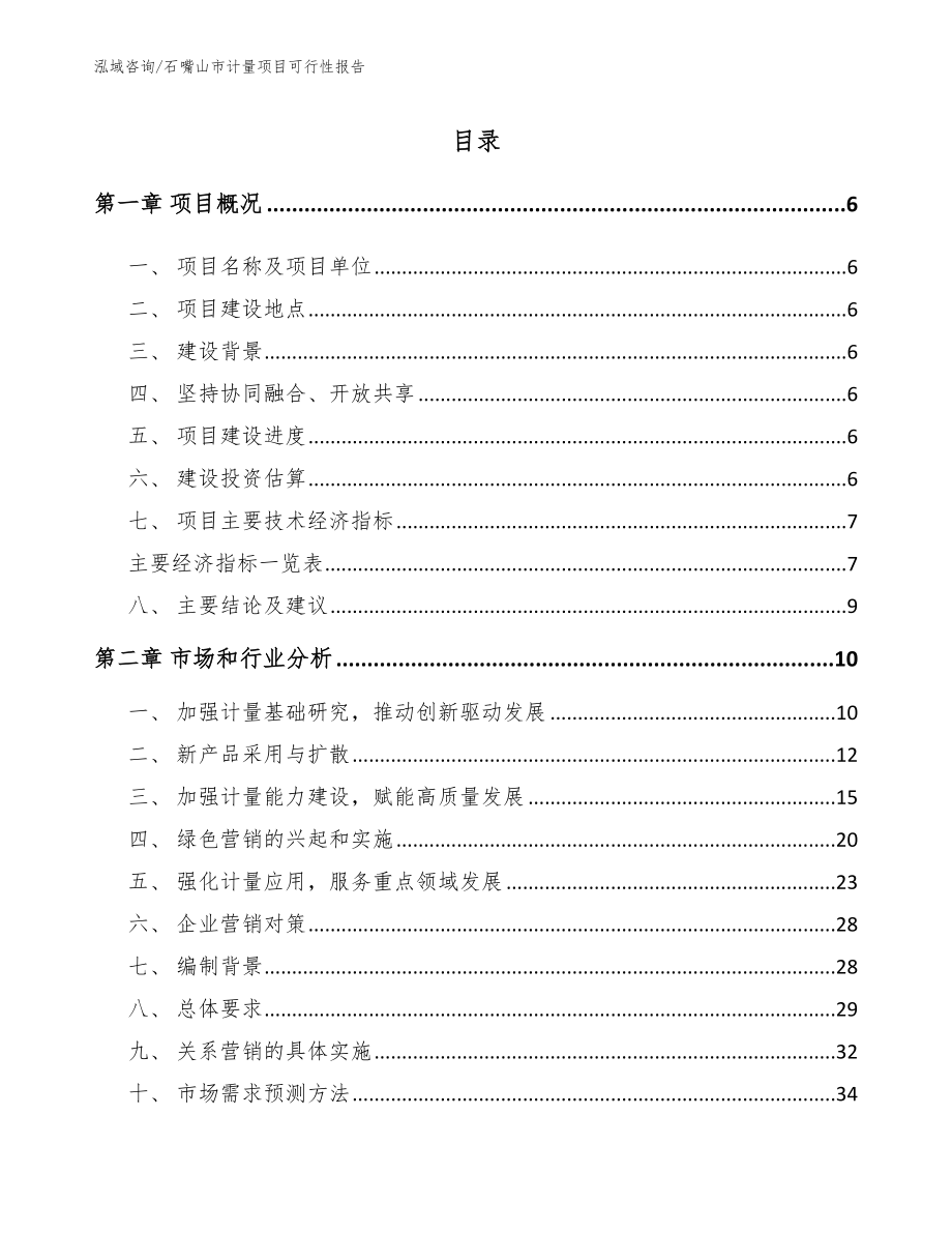 石嘴山市计量项目可行性报告（范文）_第1页