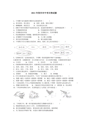 2011广西贺州中考生物试卷word版(含答案)