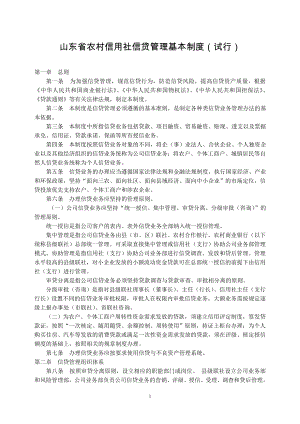 10山东省农村信用社信贷管理基本制度