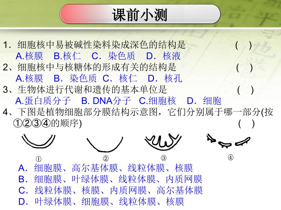 人教版教学课件物质跨膜运输的实例(学案式)_第1页