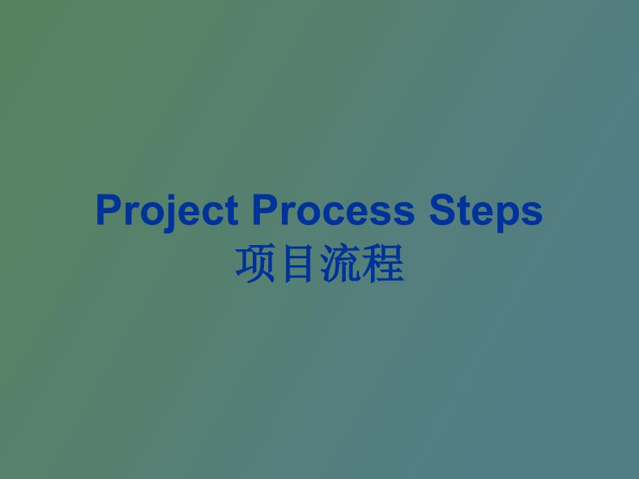 rojectProcessSteps项目流程_第1页