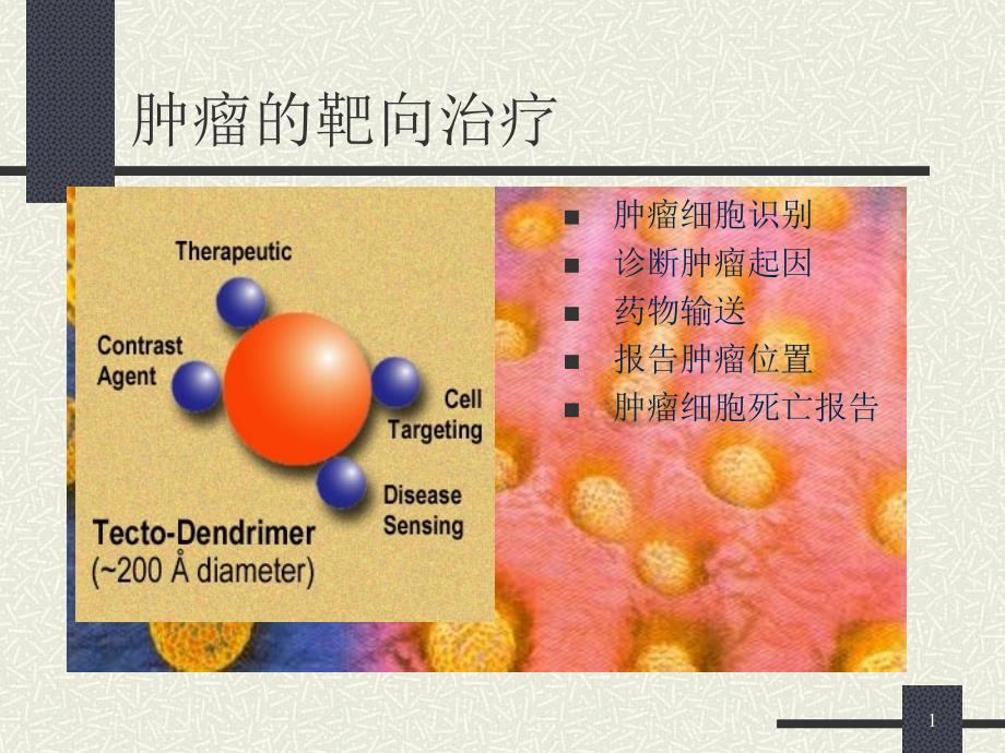 《EPR效应肿瘤》PPT课件_第1页