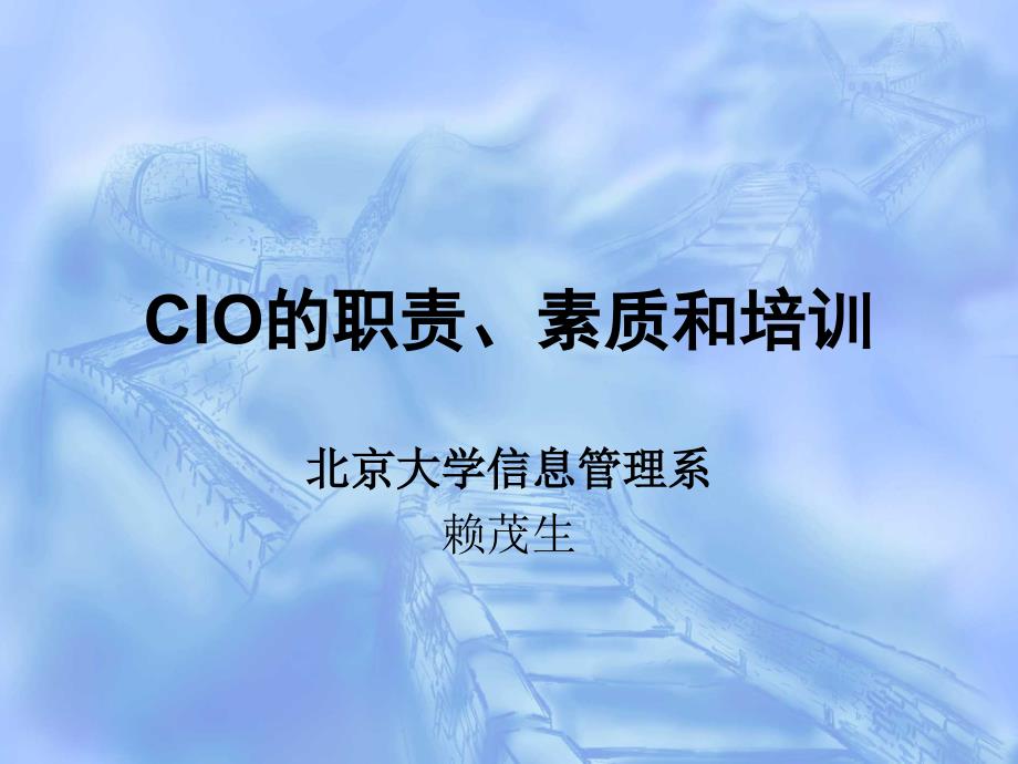 CIO 的职责、素质和培训_第1页