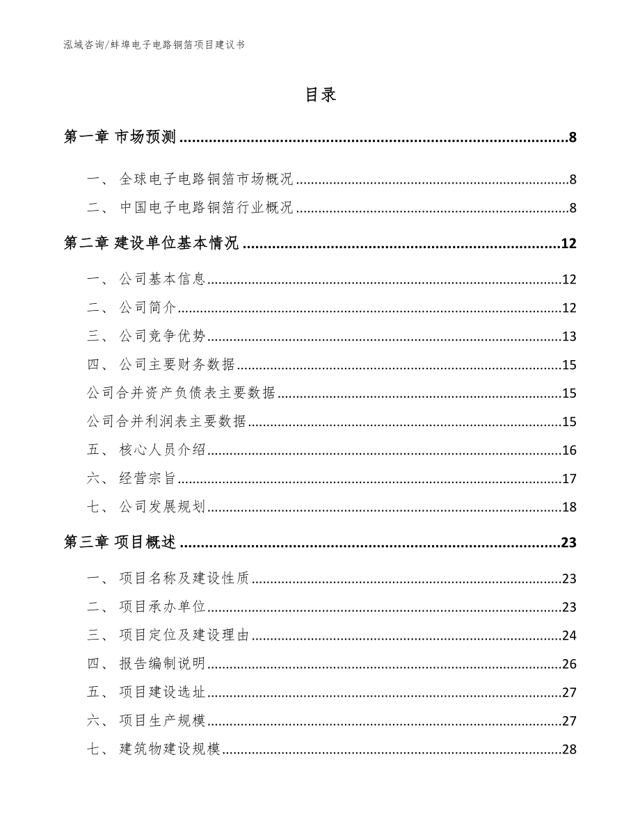 蚌埠电子电路铜箔项目建议书【模板参考】_第1页