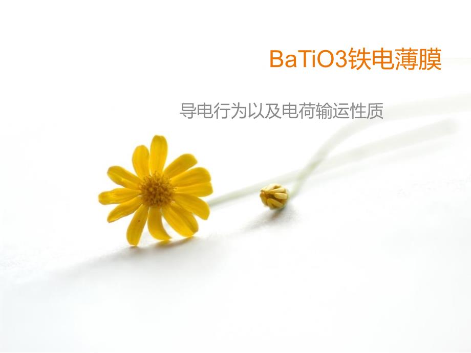 BaTiO铁电薄膜_第1页