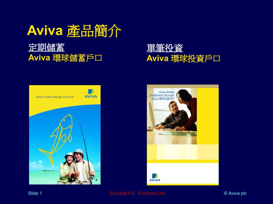 Aviva产品简介_第1页