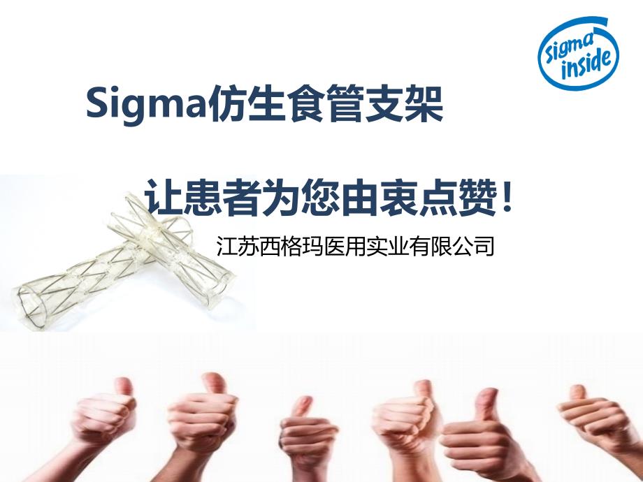 Sigma仿生食管支架_第1页