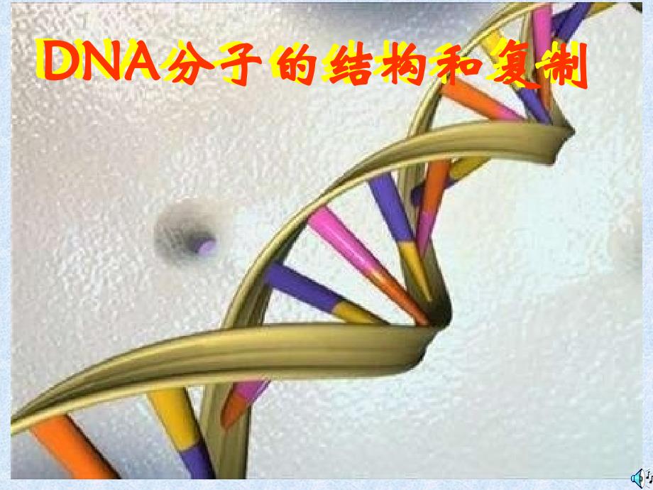 DNA分子的结构和复制PPT_第1页