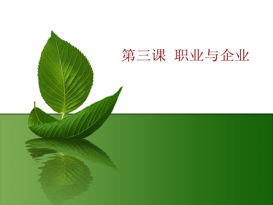 《企业中的职业》PPT课件_第1页