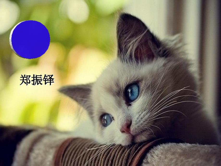 2017部编新教材七年级上册16猫整理_第1页