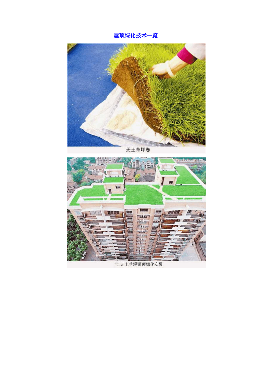 屋顶绿化技术一览_第1页
