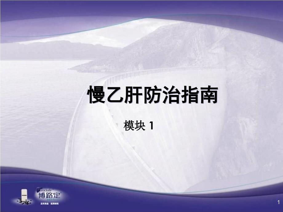 《慢乙肝防治指南》PPT课件_第1页