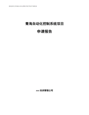 青海自动化控制系统项目申请报告【参考范文】