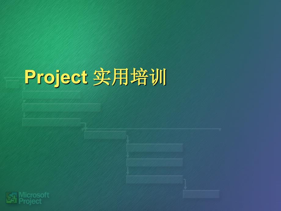 Project说明书_第1页