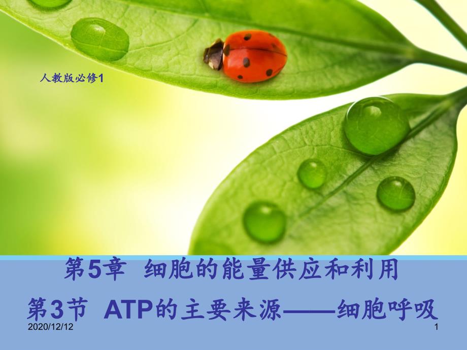 生物53ATP的主要来源——细胞呼吸1人教版必修1-课件_第1页