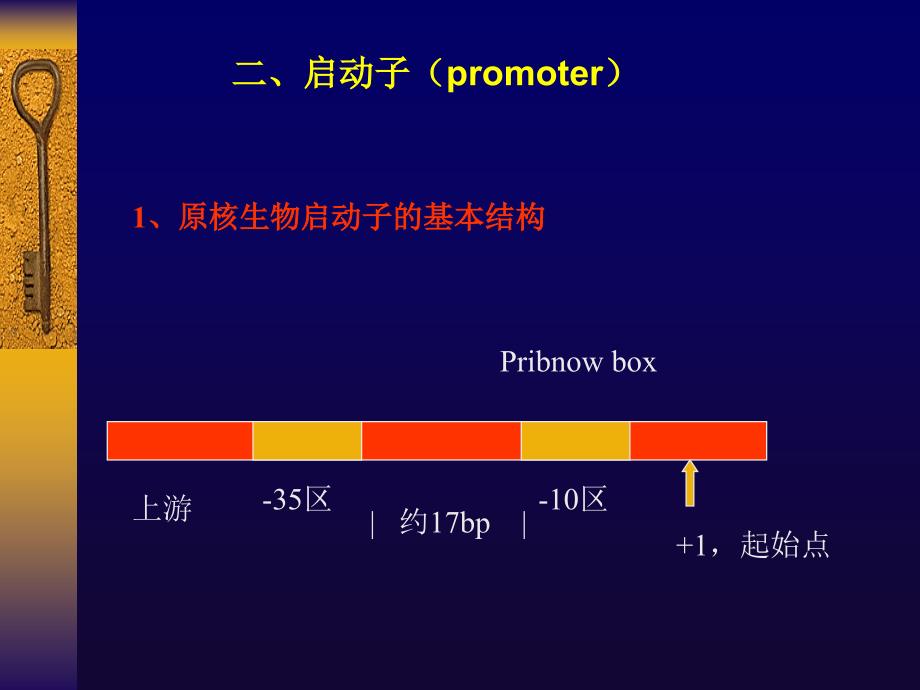 《分子生物学讲座》PPT课件_第1页