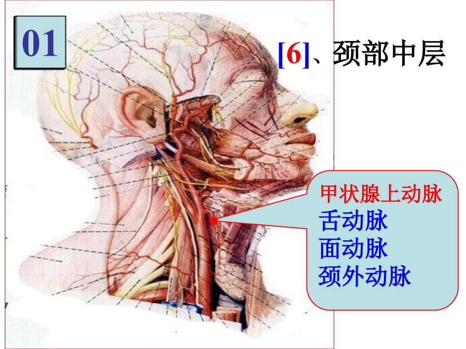 《局解实验集锦》PPT课件_第1页