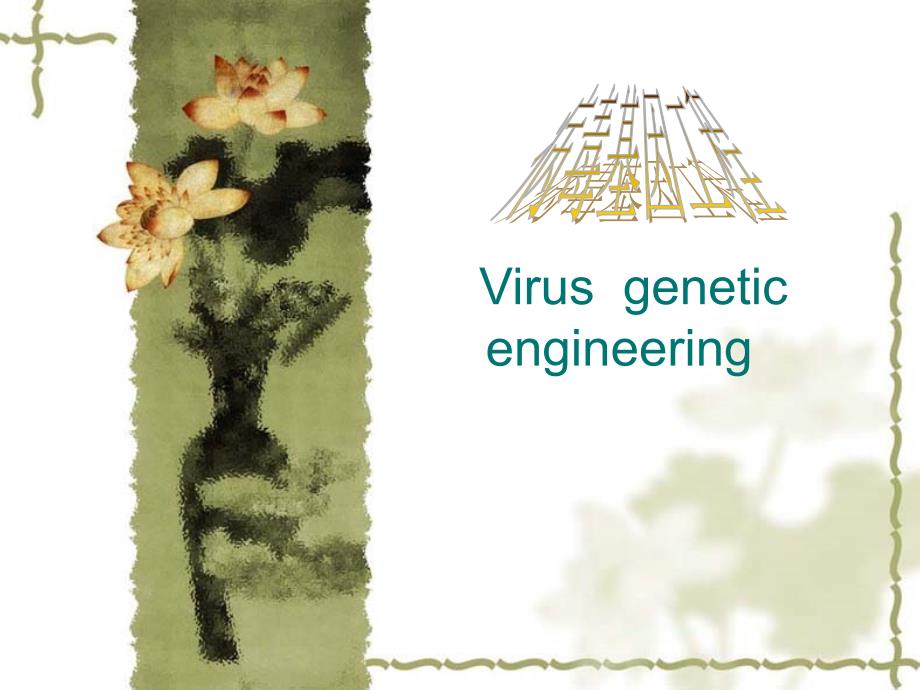 《病毒基因工程》PPT课件_第1页