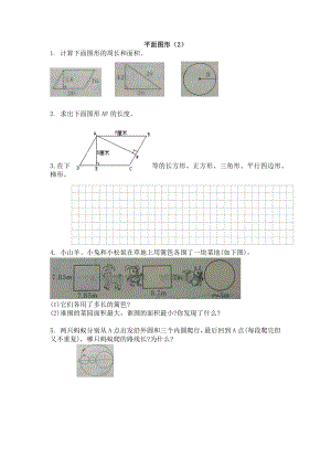 西师大版数学六年级下册2.2 平面图形（2）课时练附答案