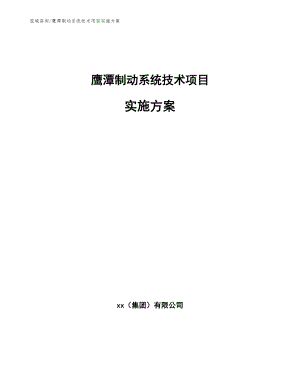 鹰潭制动系统技术项目实施方案（模板范本）