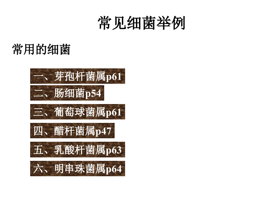 《常见细菌举例》PPT课件_第1页