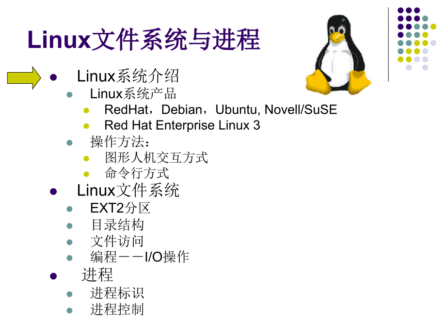 Linux文件系统与进程_第1页