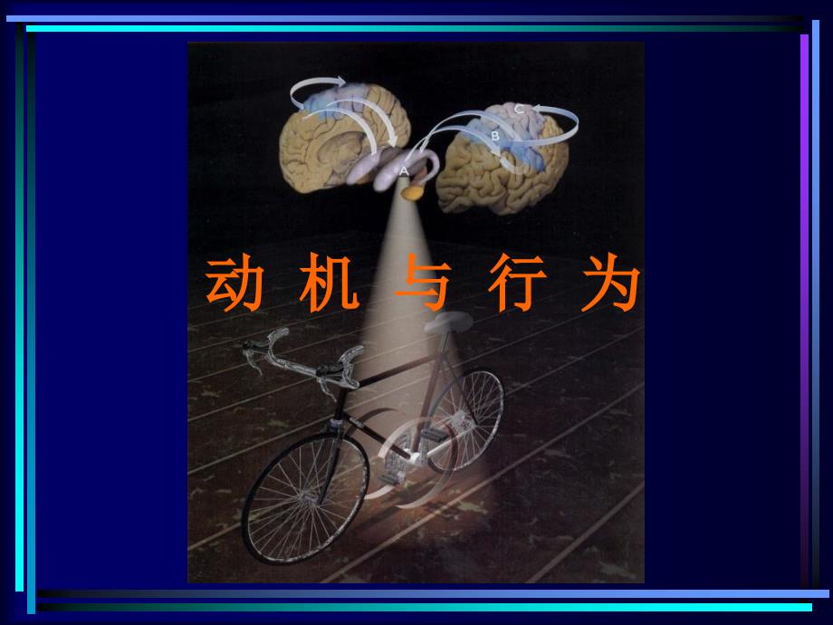 《社会动机》PPT课件_第1页